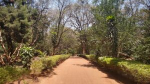 Nairobi Arboretum Gardens