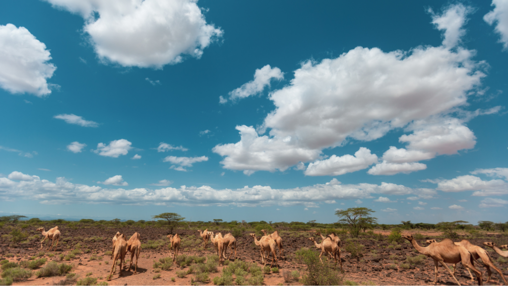Chalbi desert in Kenya