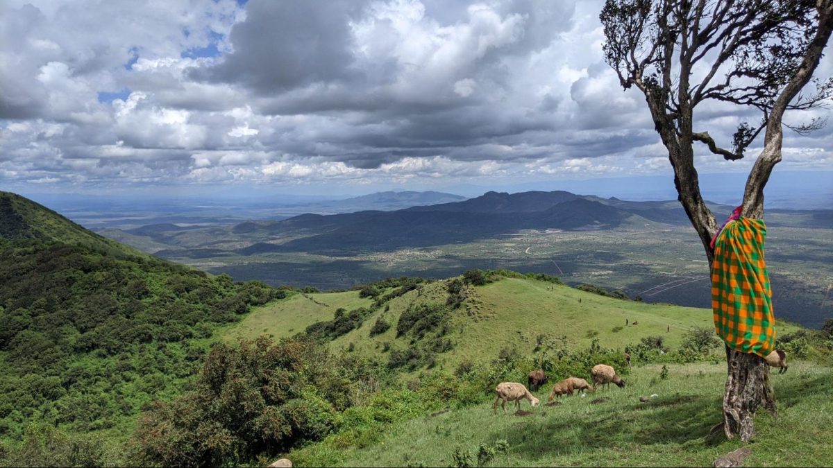 Ngong Hills: A Quick Guide